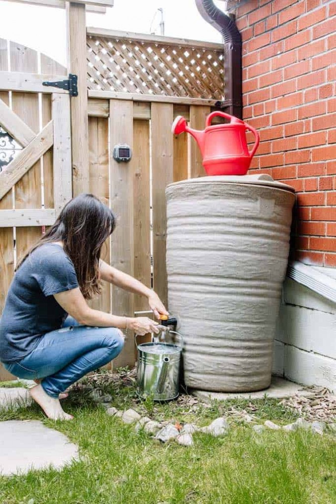 How A Rain Barrel Saves You Water & Money - The Eco Hub