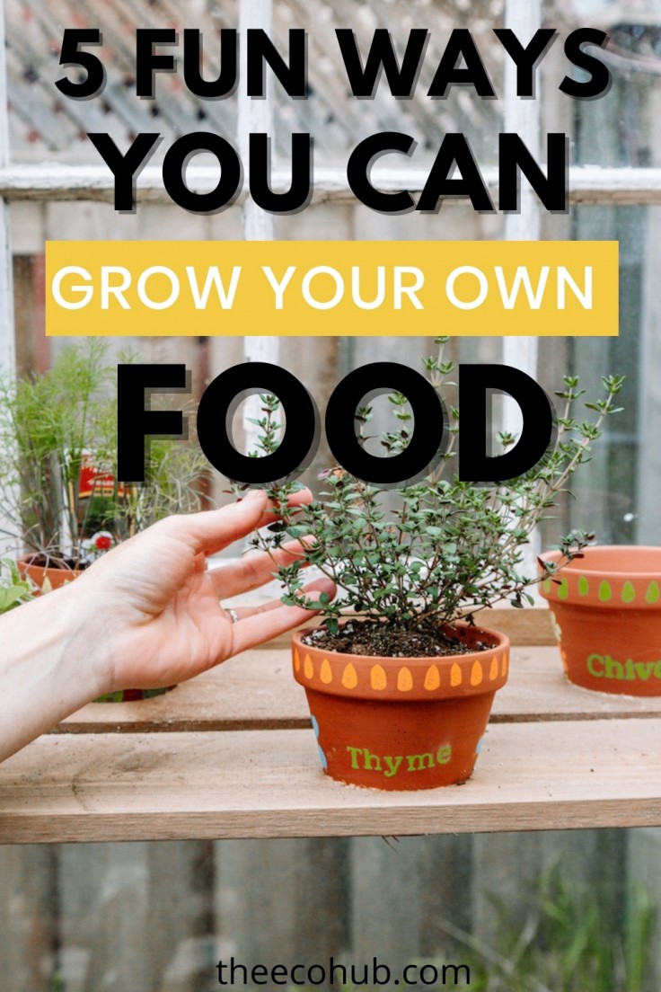 5 Fun Ways To Grow Your Own Food Even If You Don't Have A Yard