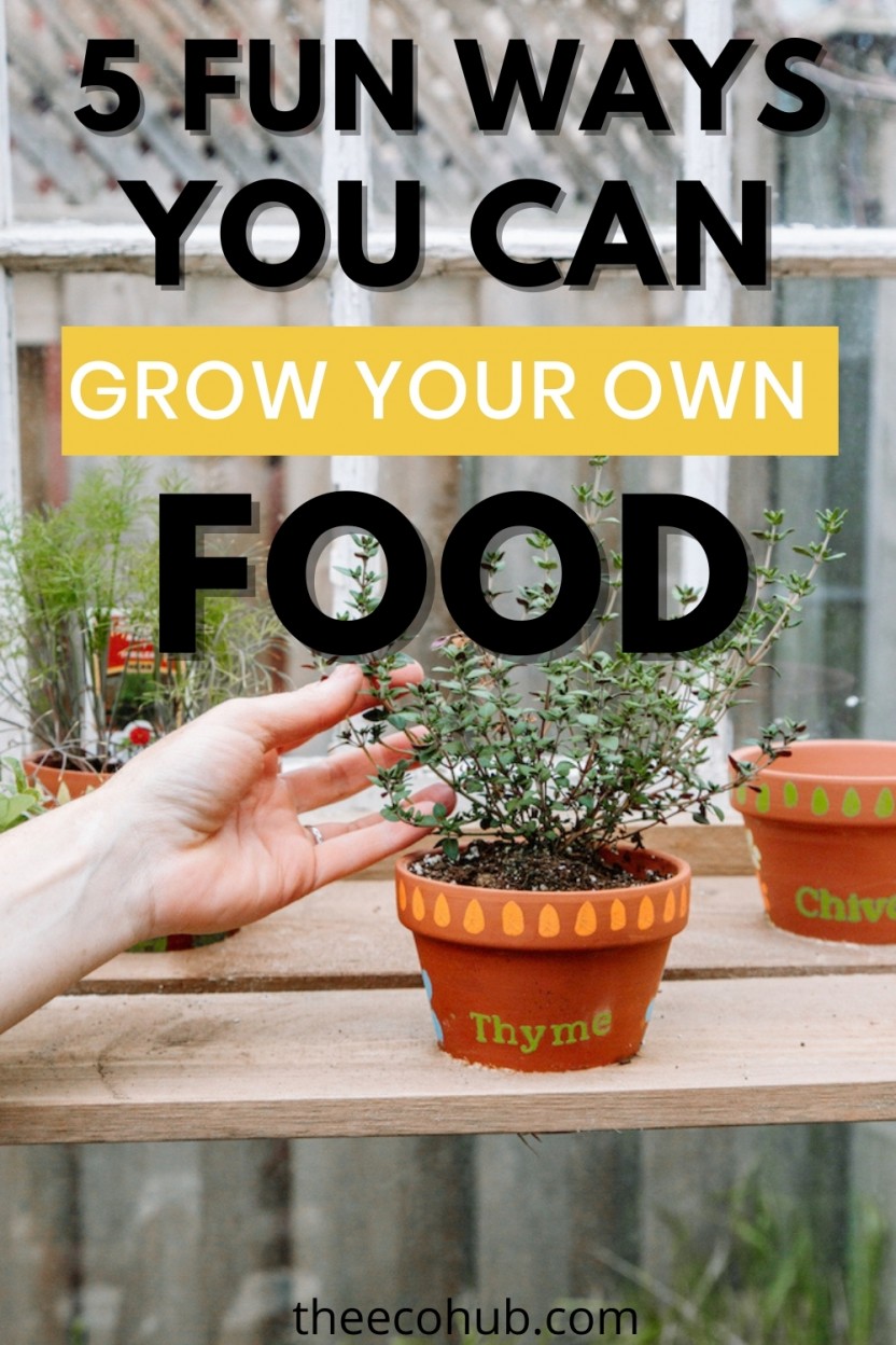 5 Fun Ways To Grow Your Own Food Even If You Don't Have A Yard