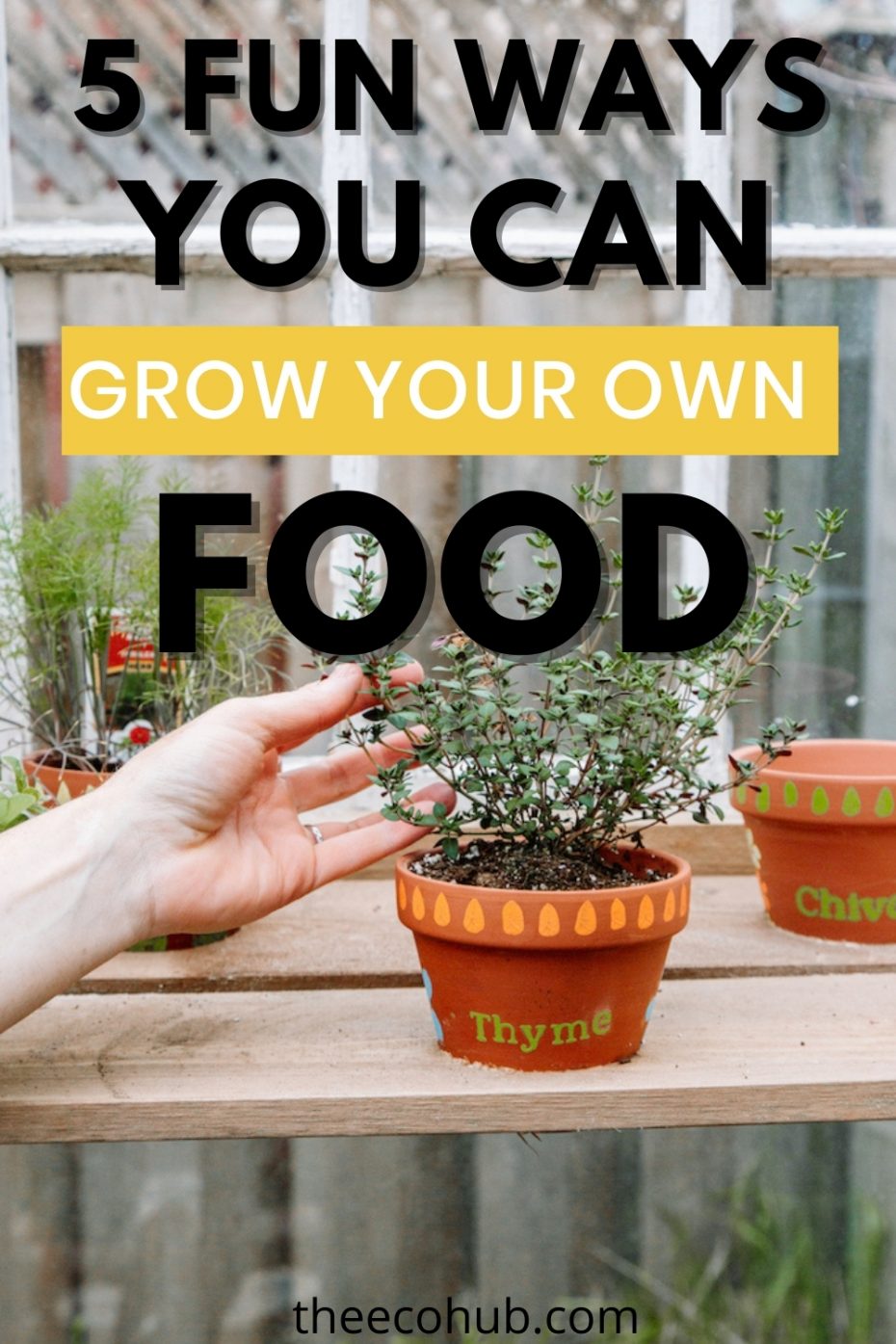5 Fun Ways To Grow Your Own Food Even If You Don't Have A Yard