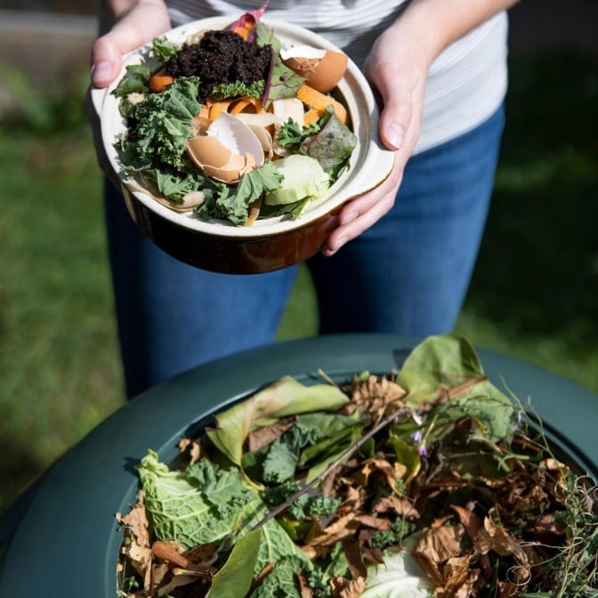 What's Not Compostable At Home: 20+ Things To Avoid! - The Eco Hub