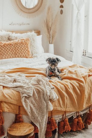 organic mattresses the futon shop