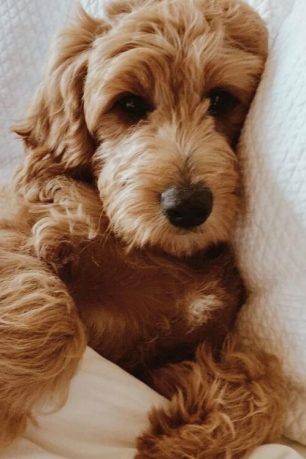 sustainable hemp bedding Delilah Home