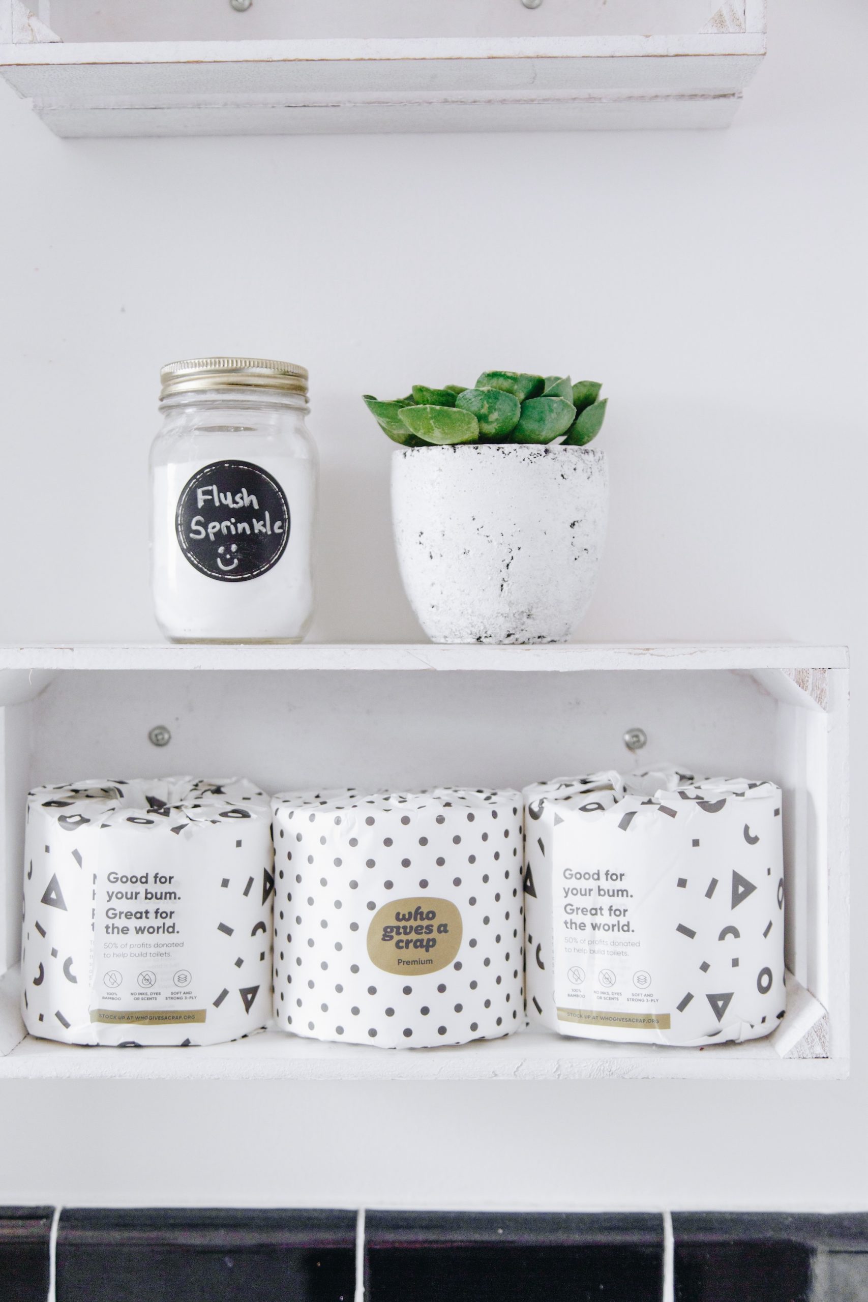 Best Toilet Paper Eco