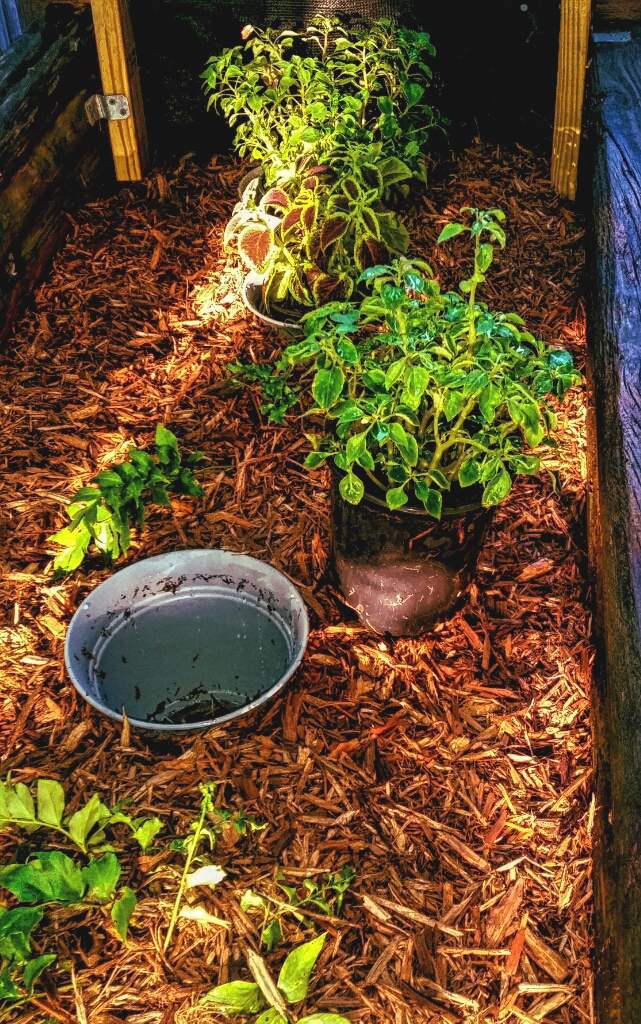 A Guide On How To Recycle Plant Pots The Eco Hub