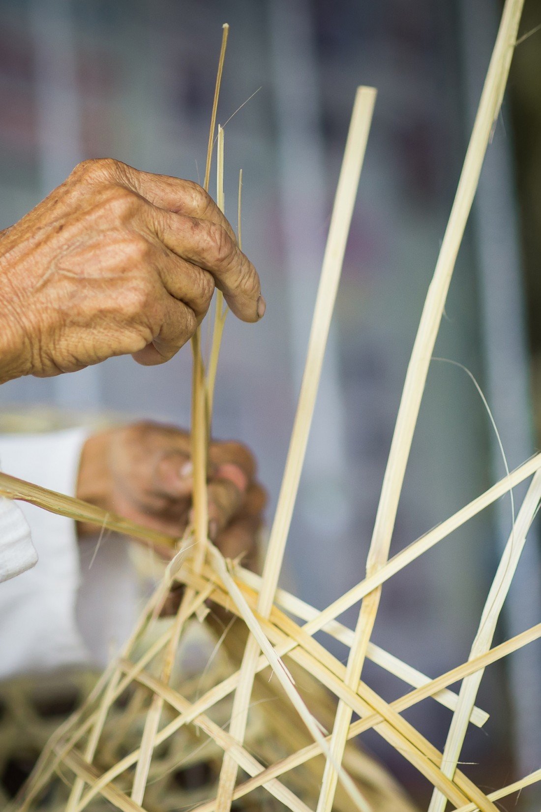 Bamboo Viscose 101 Is it an EcoFriendly & Sustainable Fabric? The