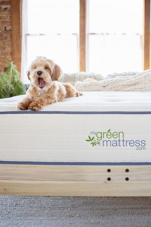 brand-directory-my-greem-mattress