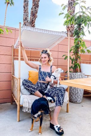 brand-directory-dazeyla