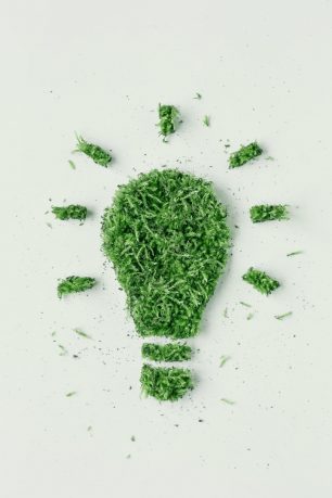 Abstract icon light bulbs grass and green leaves on white background. The concept of ecology is renewable energy. Green energy.
