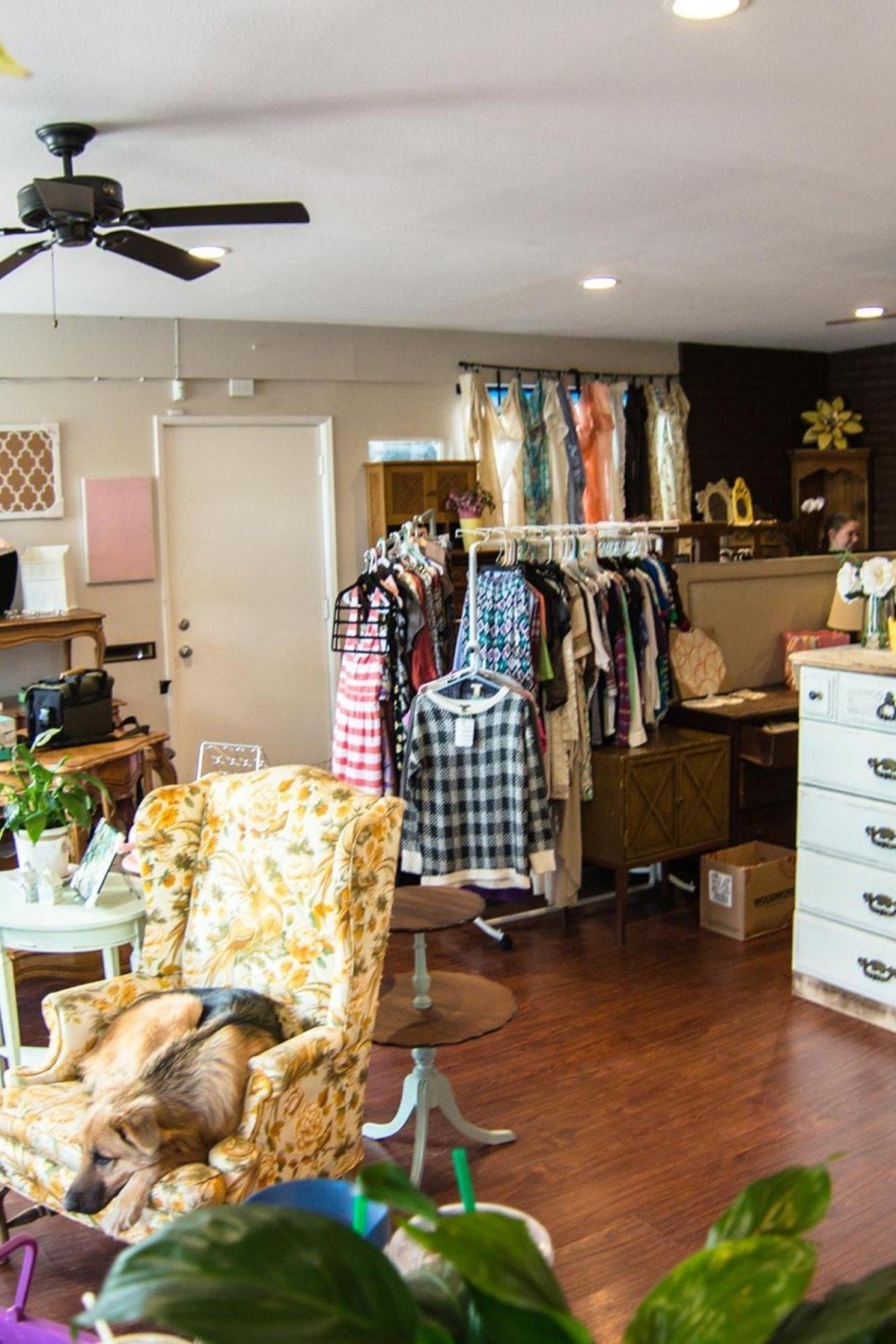12 Of The Best Thrift Stores In San Diego The Eco Hub