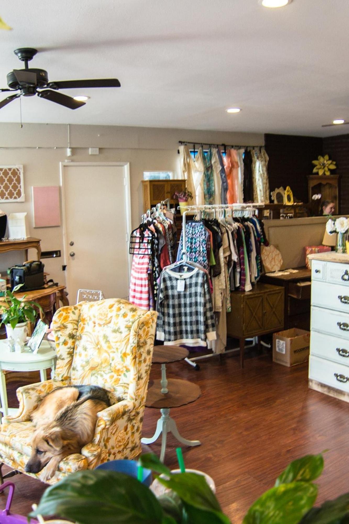 12 Of The Best Thrift Stores In San Diego The Eco Hub