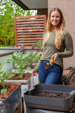 what-do-worms-eat-featured