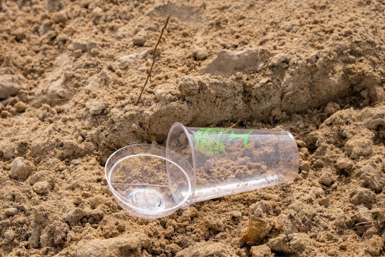 What's The Most Sustainable Food Packaging? The Eco Hub